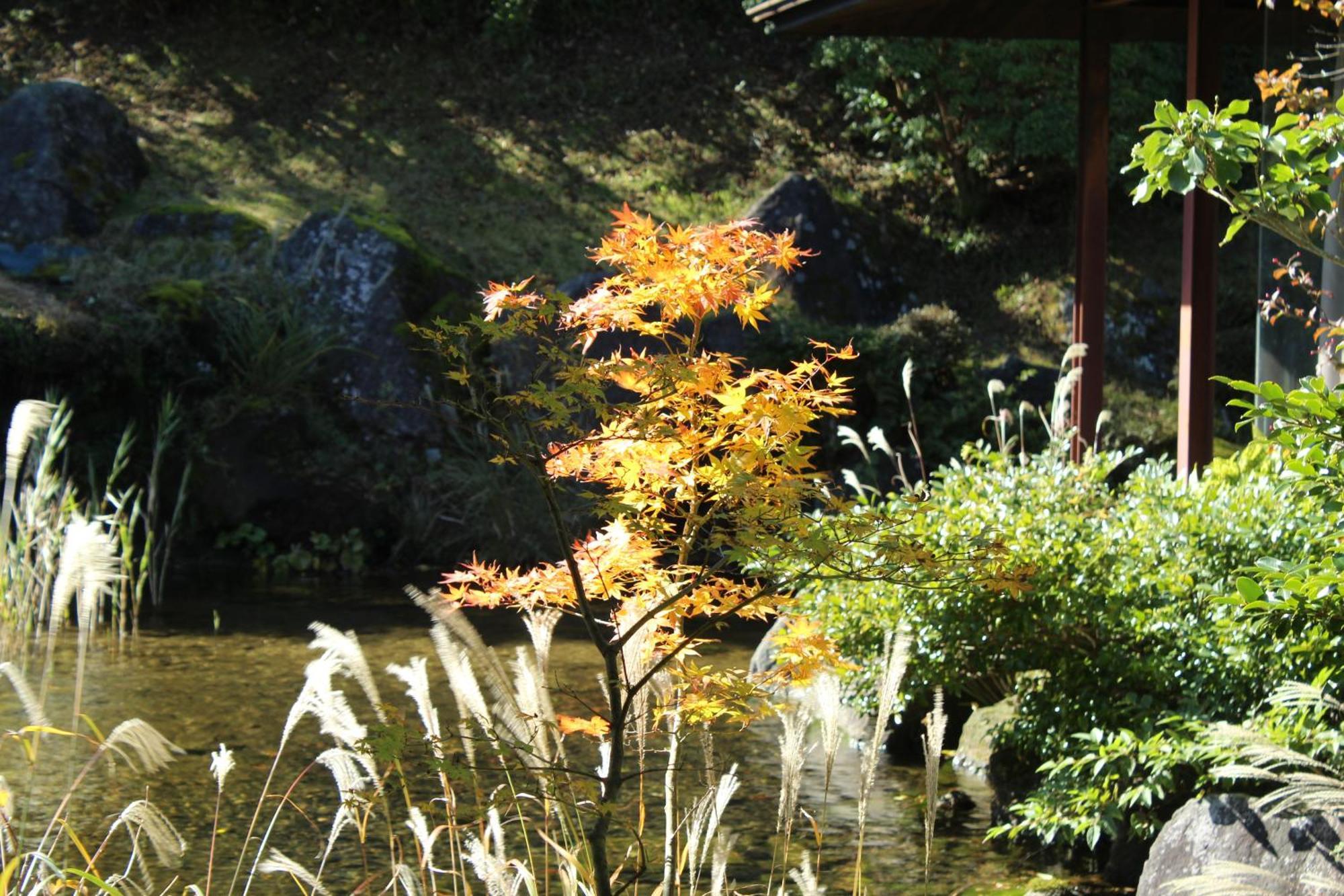 Hakone Yunohana Ryokan Kanagawa