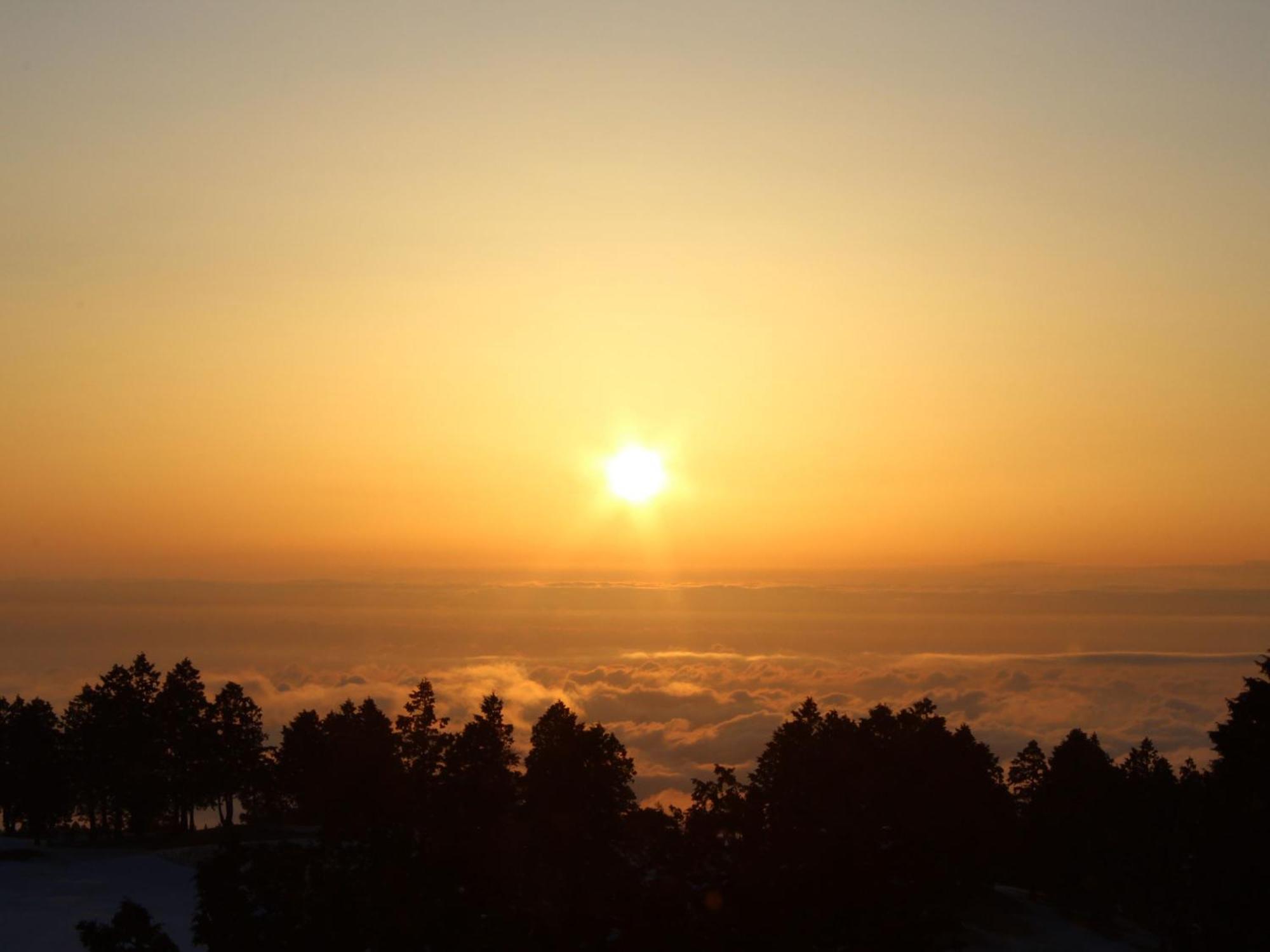 Hakone Yunohana Ryokan
