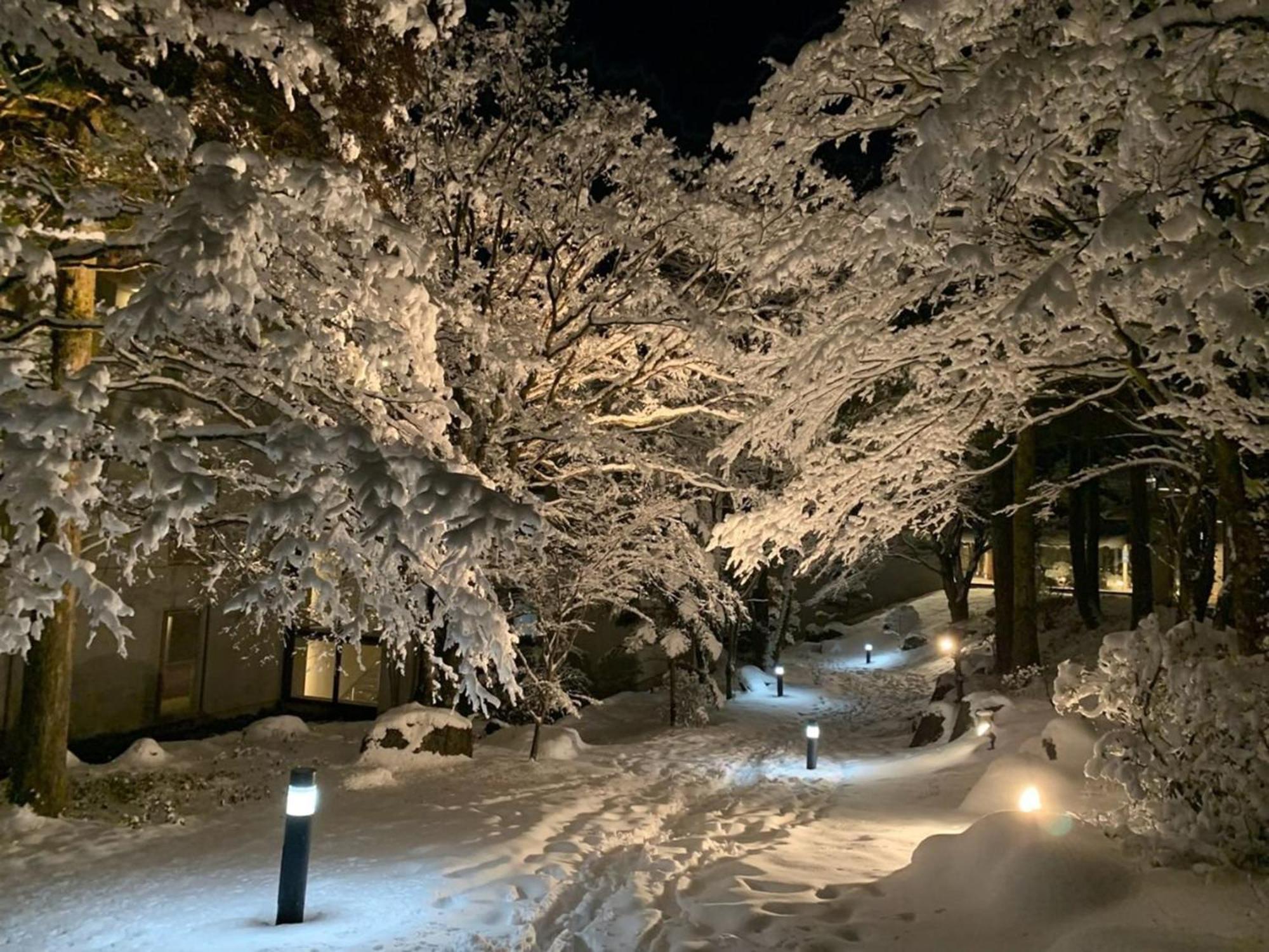 Ryokan Hakone Yunohana 4*