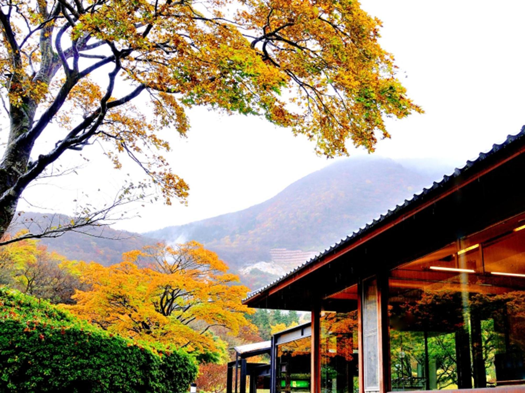 Hakone Yunohana