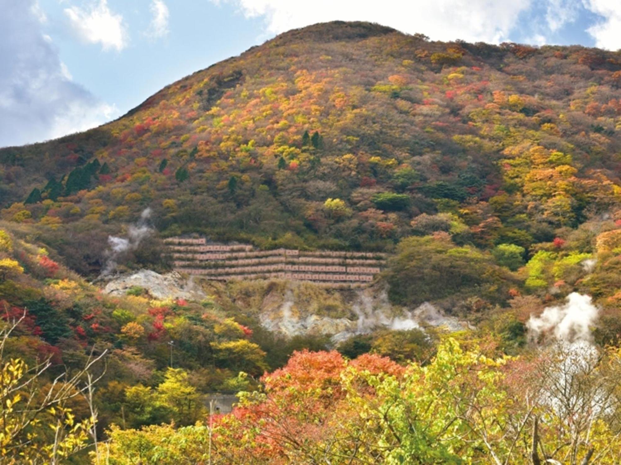Ryokan Hakone Yunohana 4*
