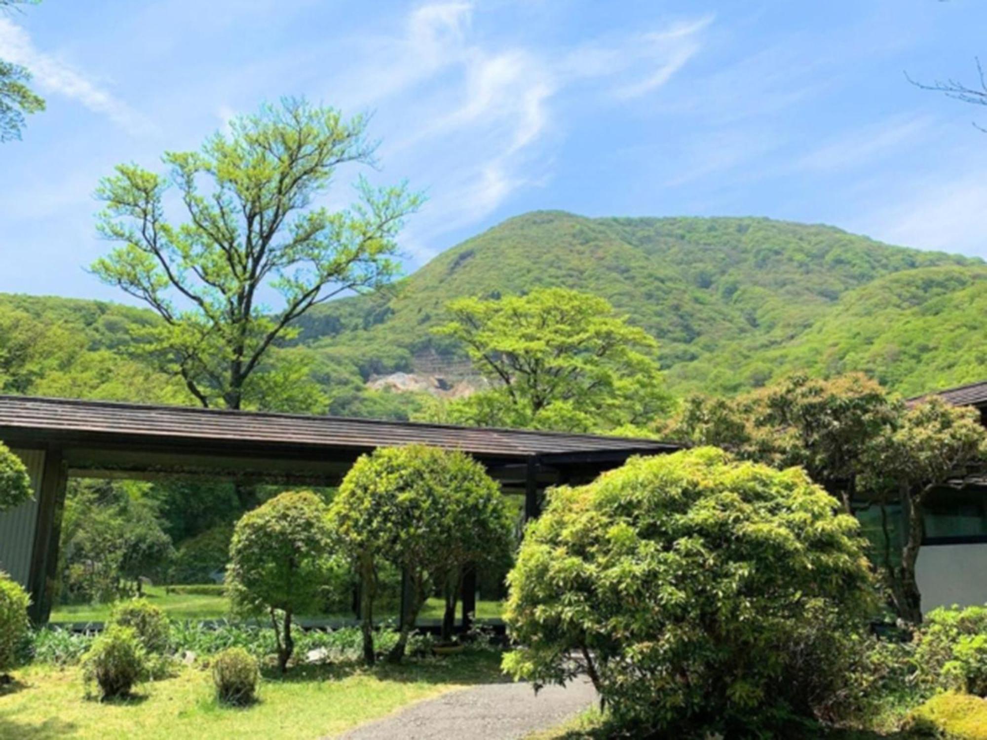 Hakone Yunohana Ryokan 4*