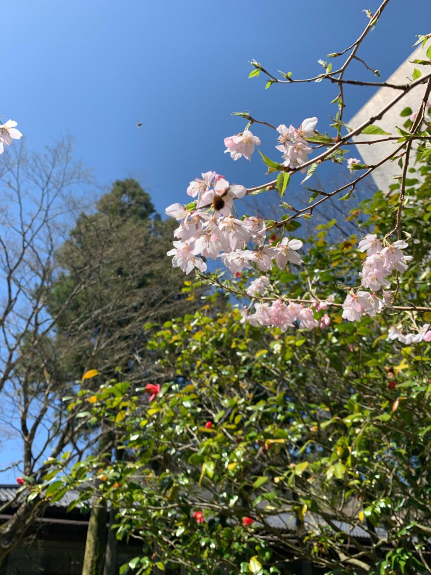 Hakone Yunohana 4* Kanagawa