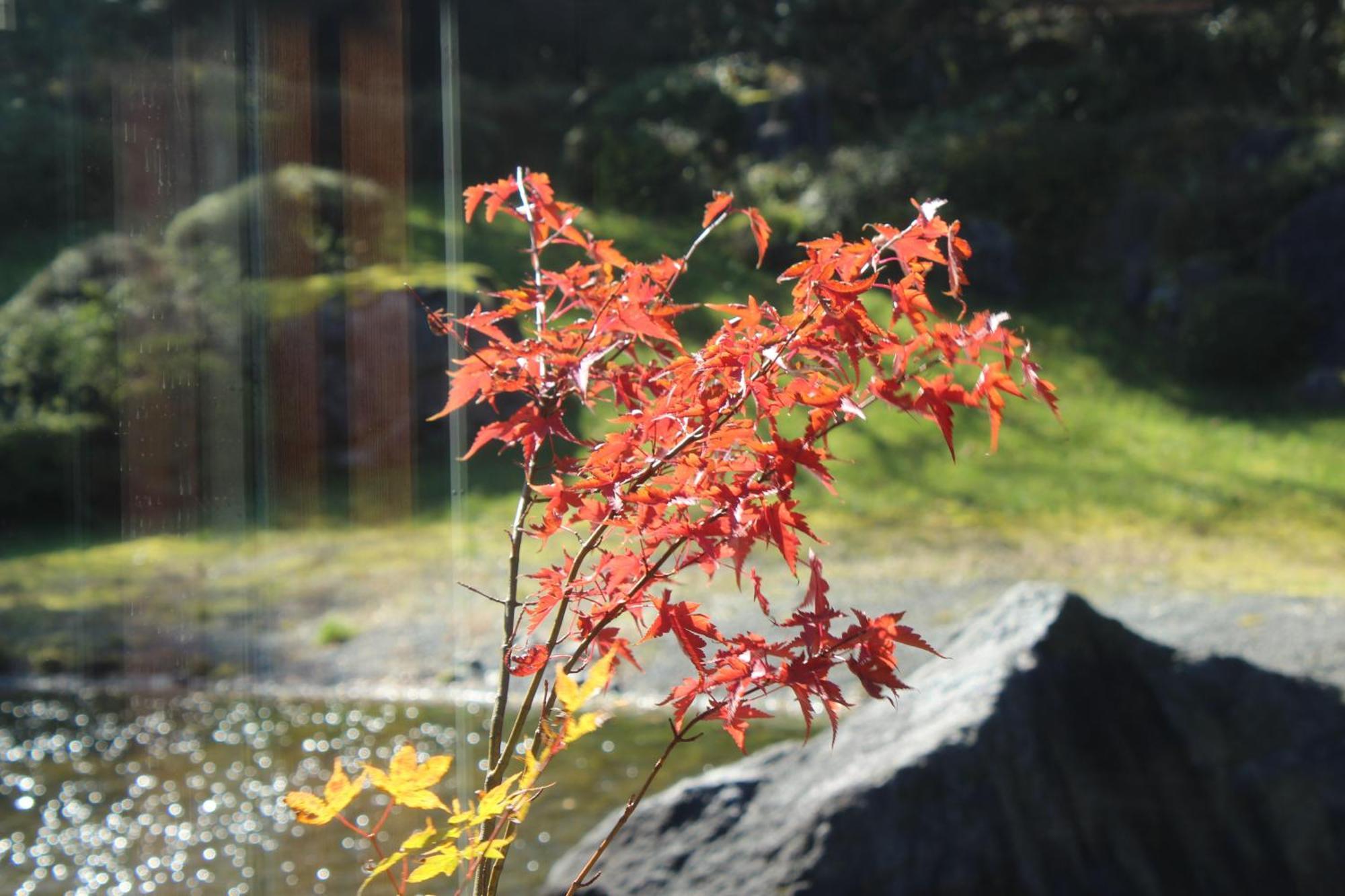 Ryokan Hakone Yunohana